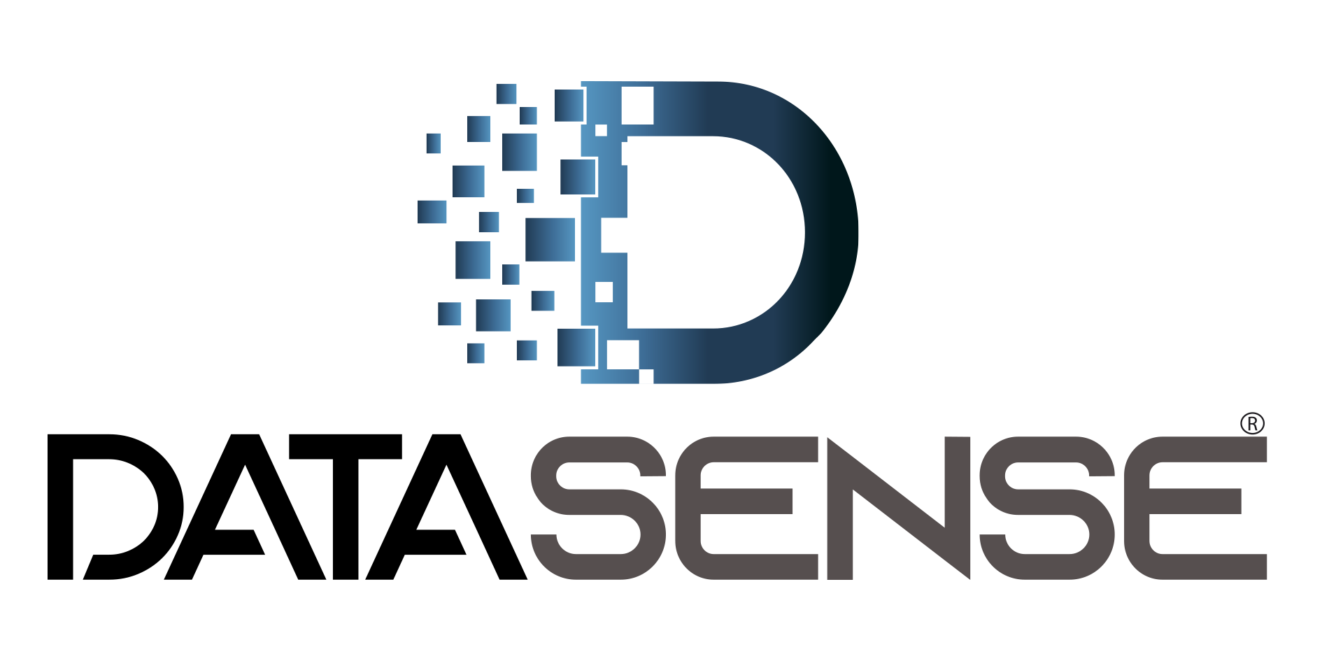 DATASENSE